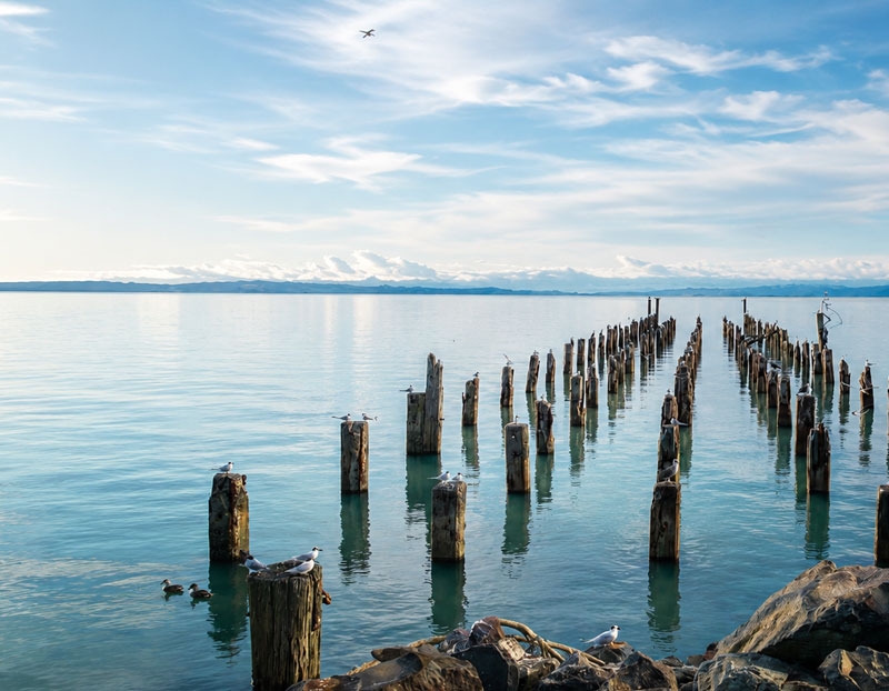 Thames-nz-old-pier